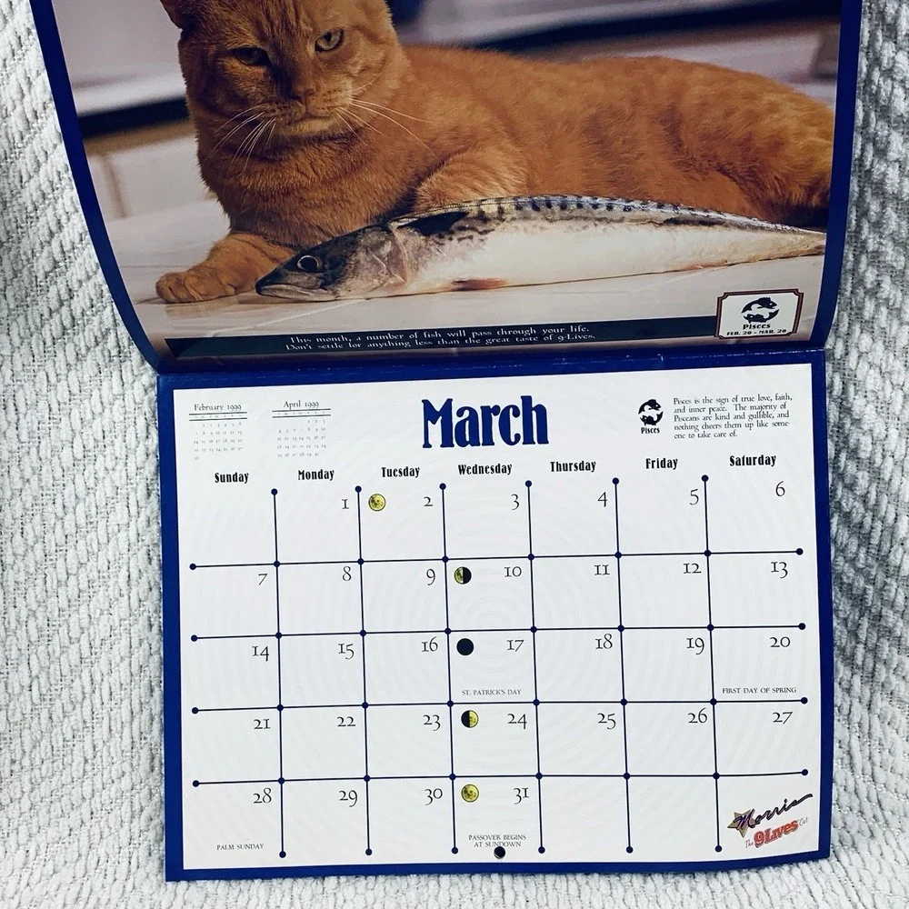 N/A morris cat